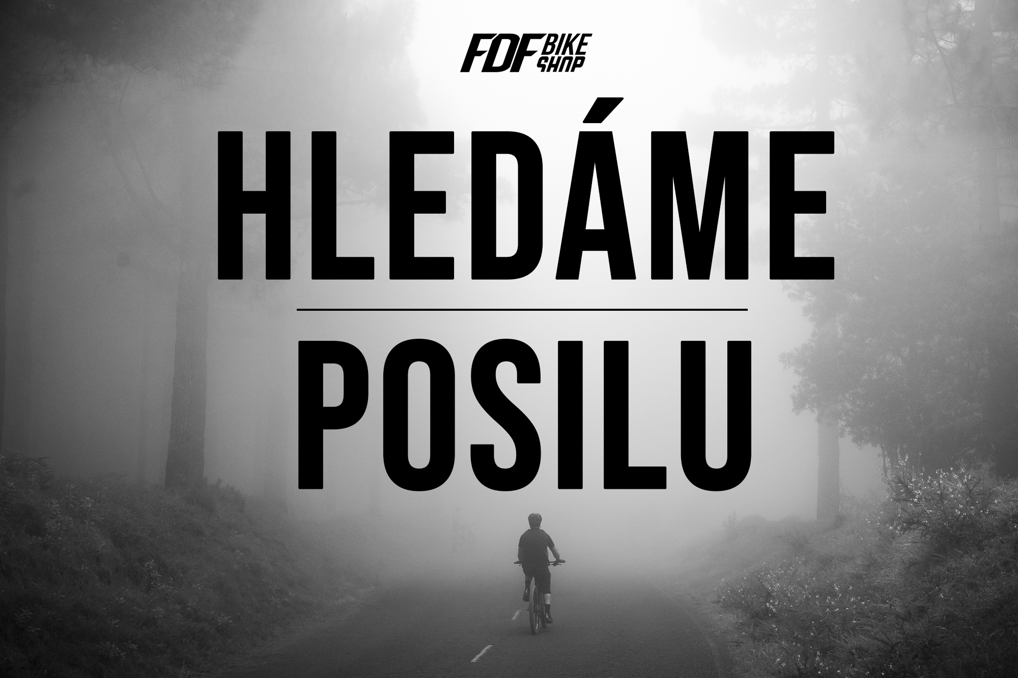 HLEDÁME POSILU